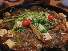 -老板恋上鱼(恒隆广场店)