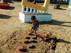 -碧海金沙