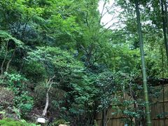 -有马温泉 竹取亭円山温泉旅馆