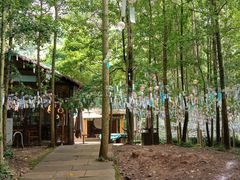 -剑门关风景区