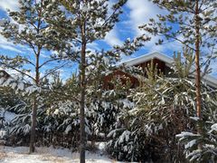-北极村旅游风景区