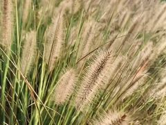 -长广溪湿地公园