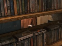 -独音唱片 Indie Music