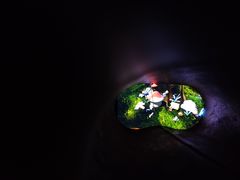 -蓝精灵乐园·世茂精灵之城主题乐园