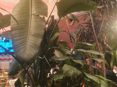 -桂满陇·蟹黄小笼汤包(清河万象店)
