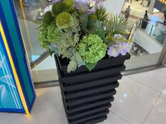 -NITORI 宜得利家居(上海中山公园龙之梦店)