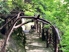 -雁荡山三折瀑景区