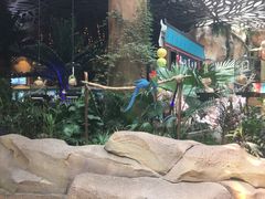 -杭州开元森泊度假乐园