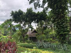 -四季酒店下午茶