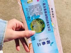 -哈尔滨北方森林动物园