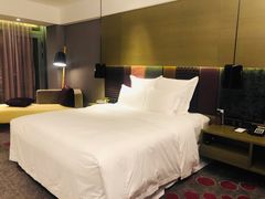 -南京禄口机场雅高铂尔曼大酒店