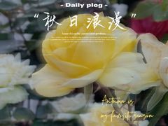 -天坛公园