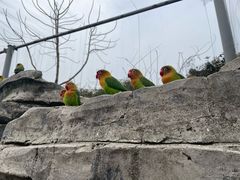 -杭州野生动物世界