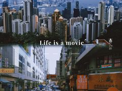 -Big Bus Tours 敞篷观光巴士