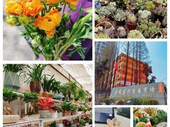 -金陵花卉交易市场