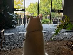 -J Create城市露营咖啡·简餐·宠物(上海动物园店)