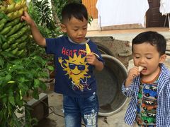 -西双版纳傣族园