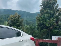 -后柳水乡