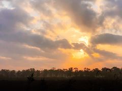 -海上花岛玫瑰园采摘