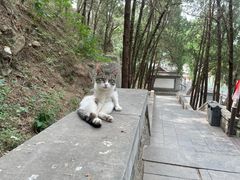 -四门塔风景区