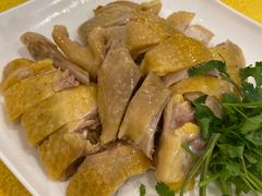 湛江招牌大扇鸡-黄B湛江鸡饭店(粤垦路店)
