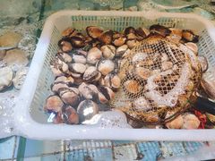 -四海蒸鲜蒸汽海鲜自助(北戴河店)