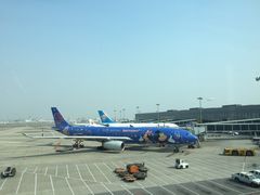 -翠華餐廳(浦东机场T1店)