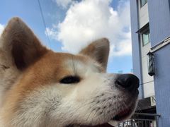 -YCHL Studios健身工作室(市二宫店)