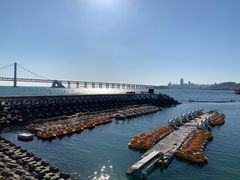 -星海湾跨海大桥
