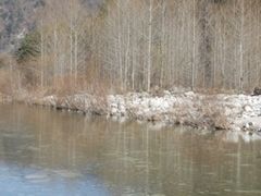 -黑河国家森林公园