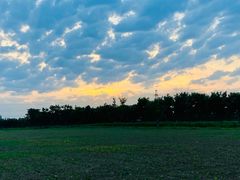 -汉长安城未央宫国家考古遗址公园