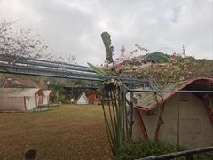 -海南槟榔谷黎苗文化旅游区