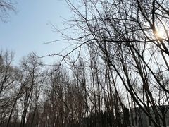 -沈阳鸟岛
