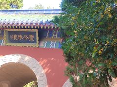 -灵谷景区