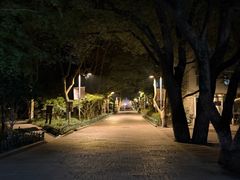 -杭州半山国家森林公园