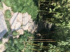 iphone_upload_pic-盆景园(扬州大运河文化旅游度假区)