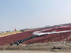 -盘锦红海温泉乐园