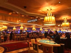 -拉斯维加斯永利酒店