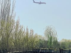-东郊湿地公园