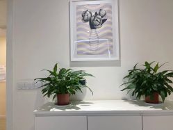 -SILKTONE诗丽堂美容