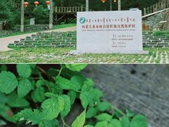 -苏木山森林公园