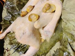 板栗荷香鸡-南京大牌档(济南万象城店)