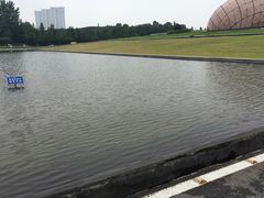 -金陵图书馆