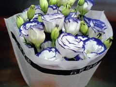 -三圣花乡旅游区