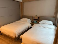 -黄山排云型旅酒店餐厅