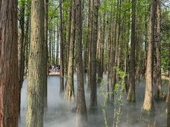 -东湖落雁景区