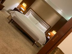-宜春明月山维景国际温泉度假酒店