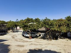 -满記土窑烧鷄波浪山莊