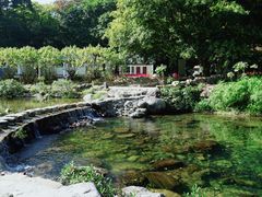 -广州市石门国家森林公园