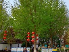 -丰台科技园生态主题公园